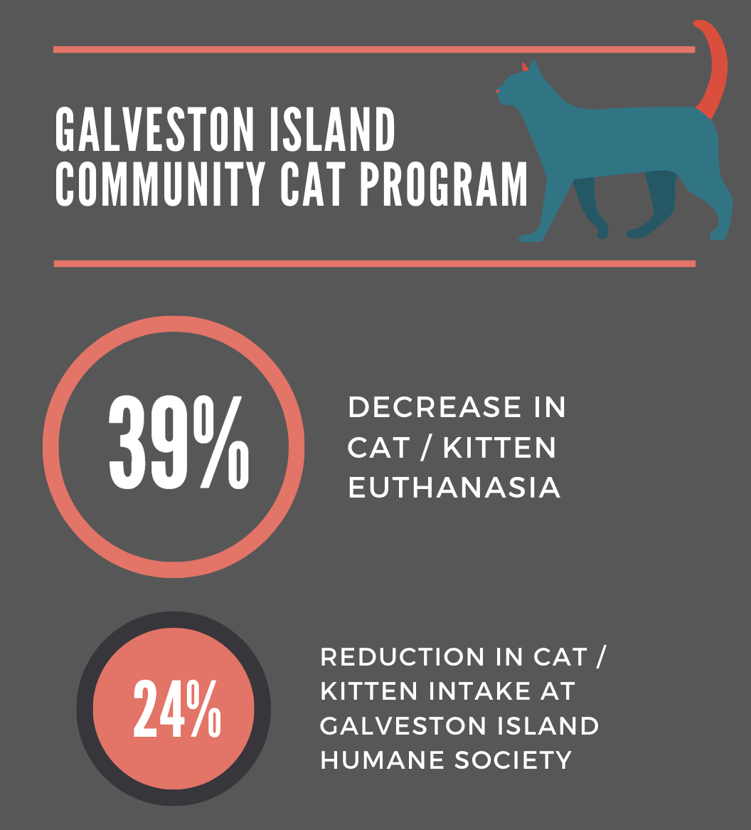 Flyer of TNR Cat Program