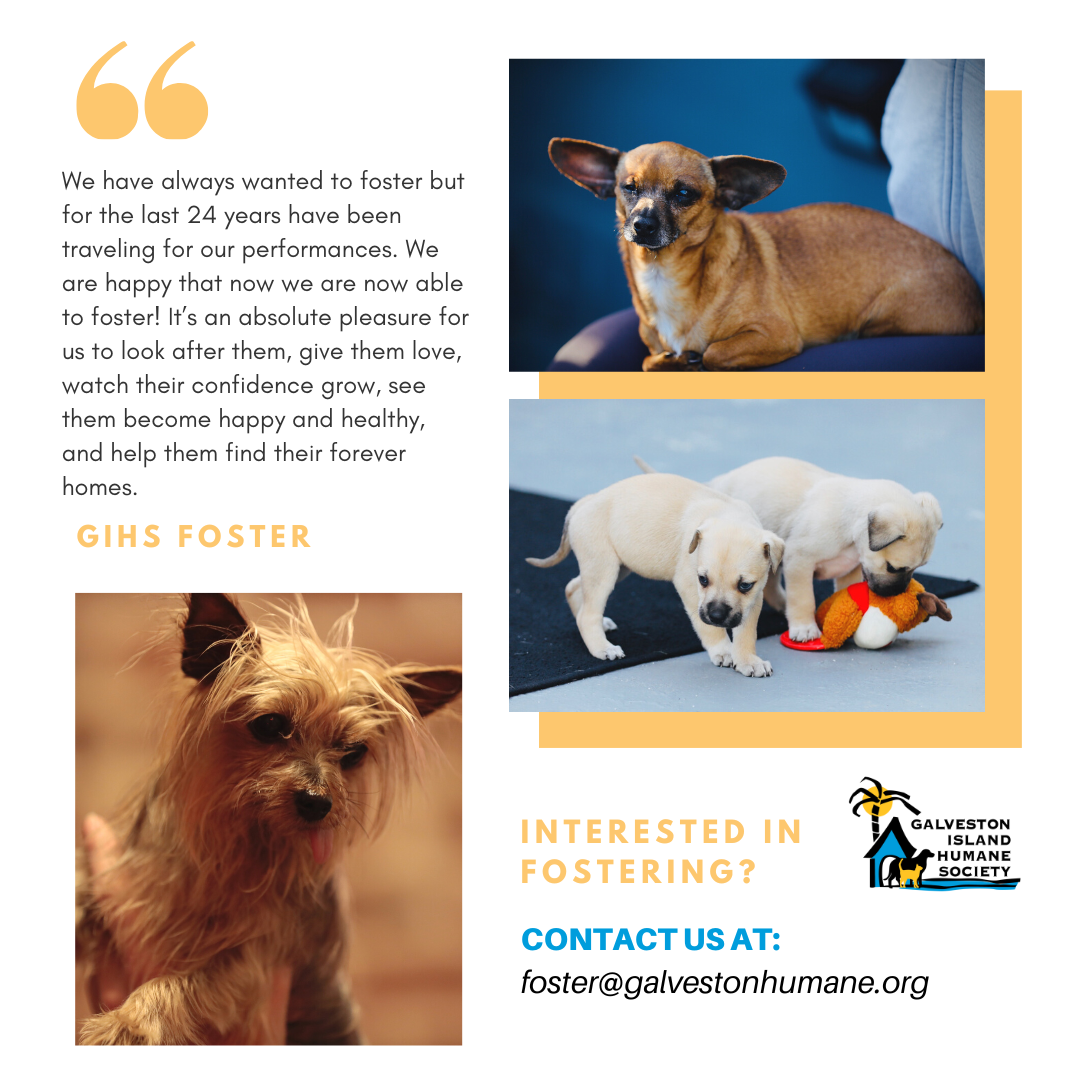foster-testimonial-p2