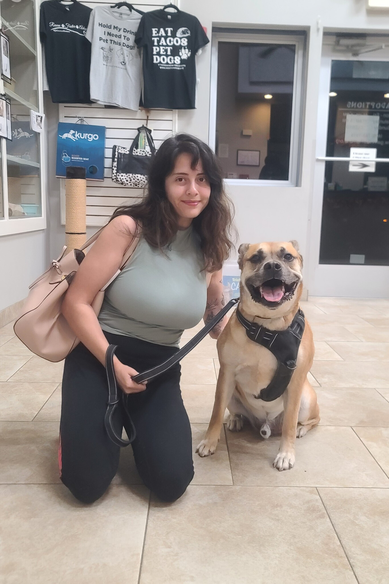 Gille and Millie cats lying together
