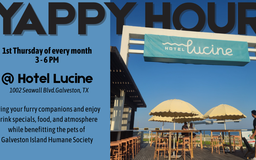 Yappy Hour @ Hotel Lucine