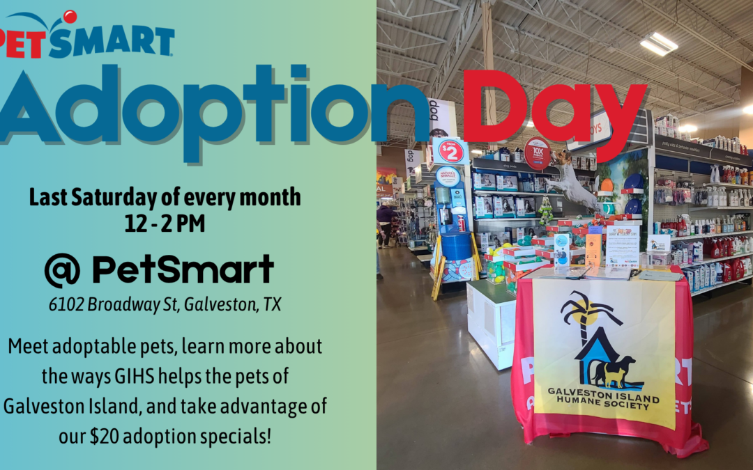 PetSmart Adoption Day